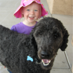 Charlie, you will always be a special part of our family. You brought so much joy, We miss you so much. Run free, good dog. Love, Your Family