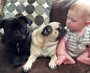 welcome peaceful partings